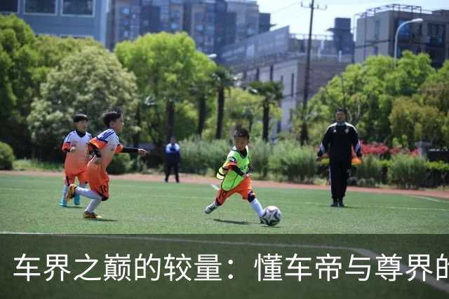 车界之巅的较量：懂车帝与尊界的生死之战